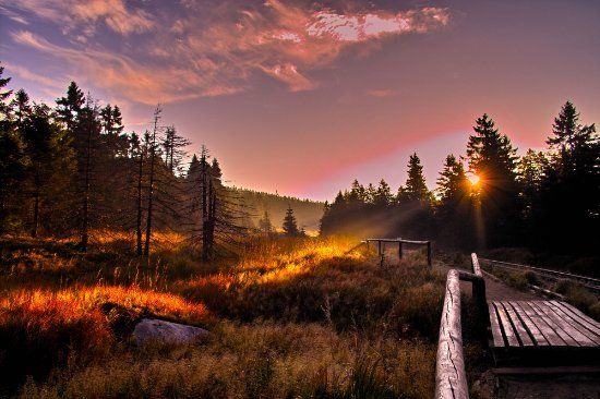 Nationalpark Harz
